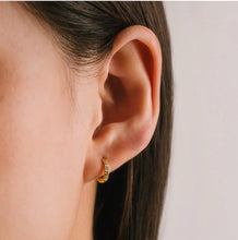 Waterproof Evie 10mm Hoop Earrings - Gold