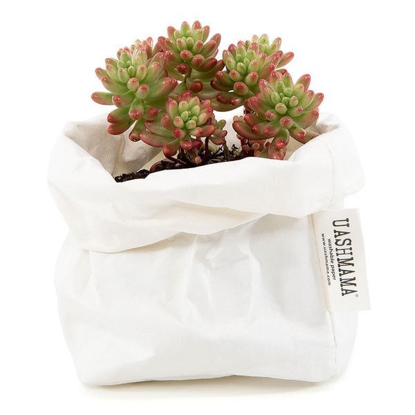 White Uashmama Paper Bag (Multiple Sizes)