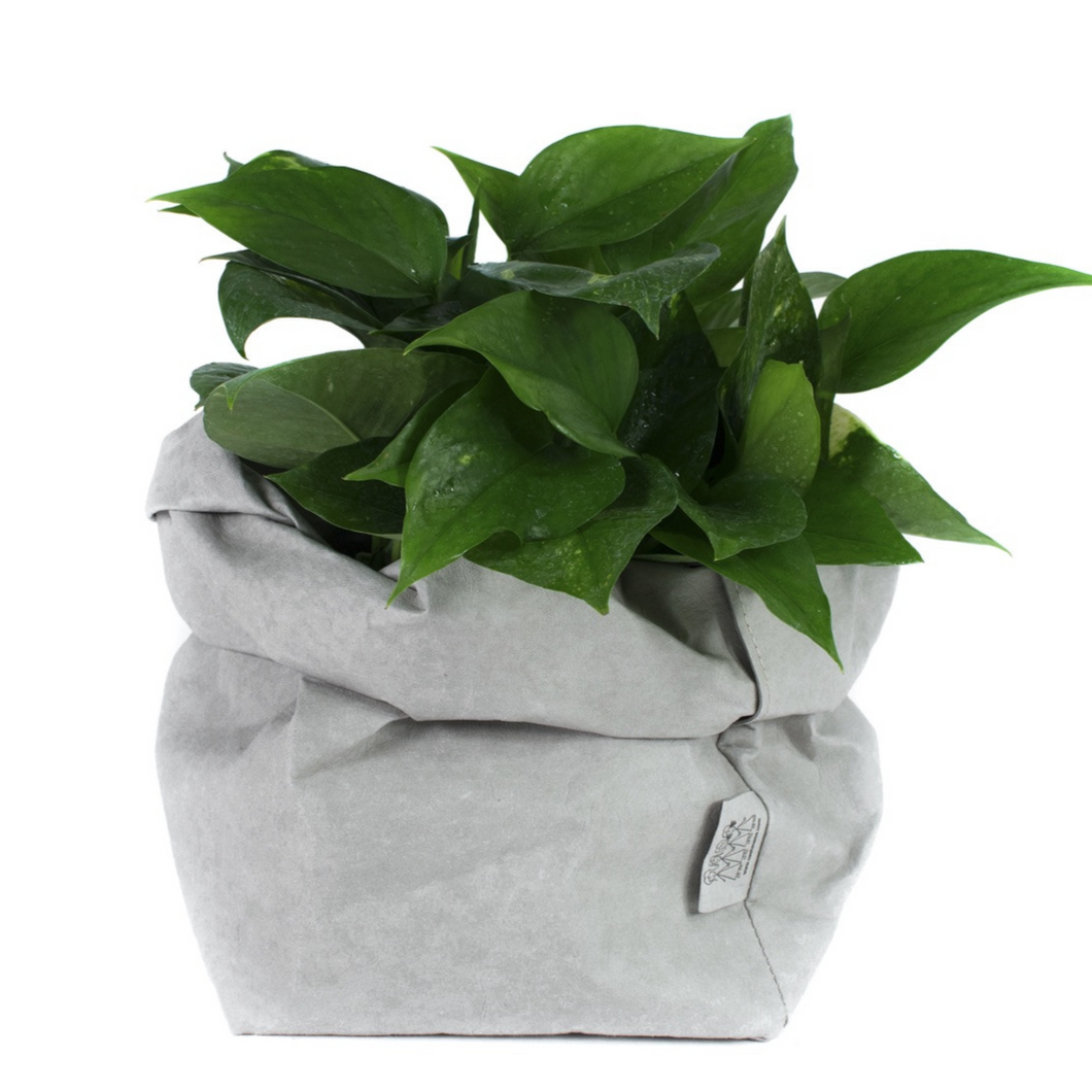 Light Grey Uashmama Paper Bag (Multiple Sizes)