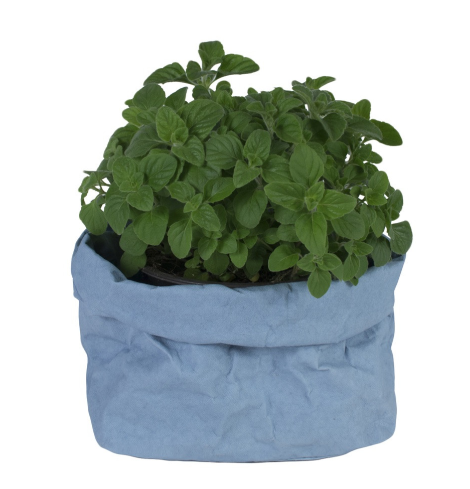Indaco Uashmama Paper Bag (Multiple Sizes)