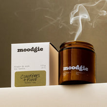Conifers + Fig - Moodgie Soy Candle - 4 oz