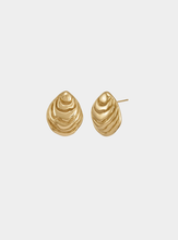Oyster Earrings - Gold