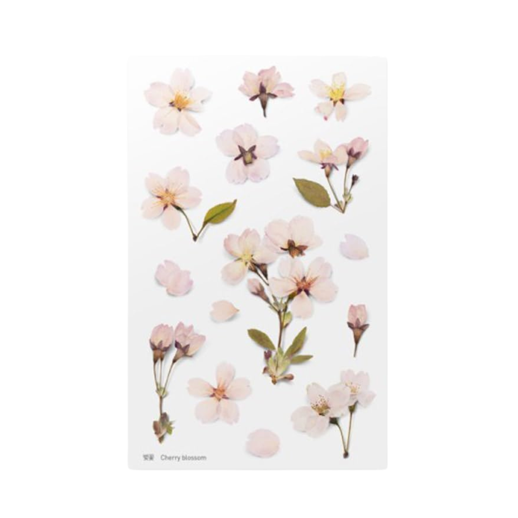 Sticker Sheet - World Craft Pressed Flowers - Cherry Blossom