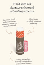 Cocoa Mint Swirl Lip Balm