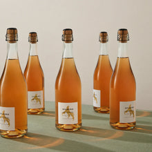 Oddbird Low Intervention Sparkling Orange Nº1 Wine (Non-Alcoholic)