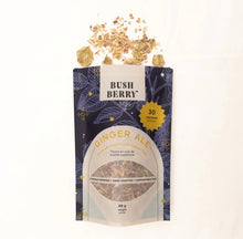 Ginger Ale Loose Leaf Tea