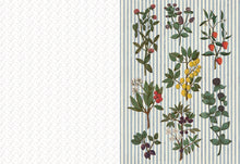 Collage Compendium: 2,000 Images to Cut Out & Collage
