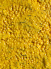 White Wine Herb Mustard