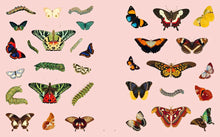 Extraordinary Things Sticker Book