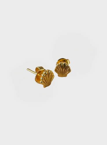 Mini Shell Stud Earrings - Gold