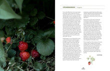 Slow Drinks: A Field Guide to Foraging and Fermenting Seasonal Sodas, Botanical Cocktails, Homemade Wines, and More