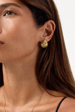 Oyster Earrings - Gold