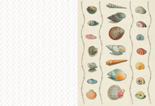 Collage Compendium: 2,000 Images to Cut Out & Collage