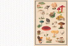 Collage Compendium: 2,000 Images to Cut Out & Collage