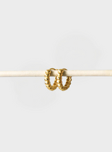 Hailey Hoop Earrings - Gold