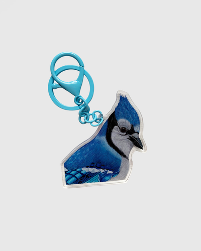 Blue Jay Keychain