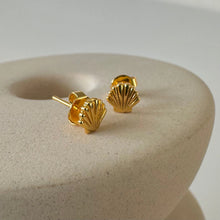 Mini Shell Stud Earrings - Gold