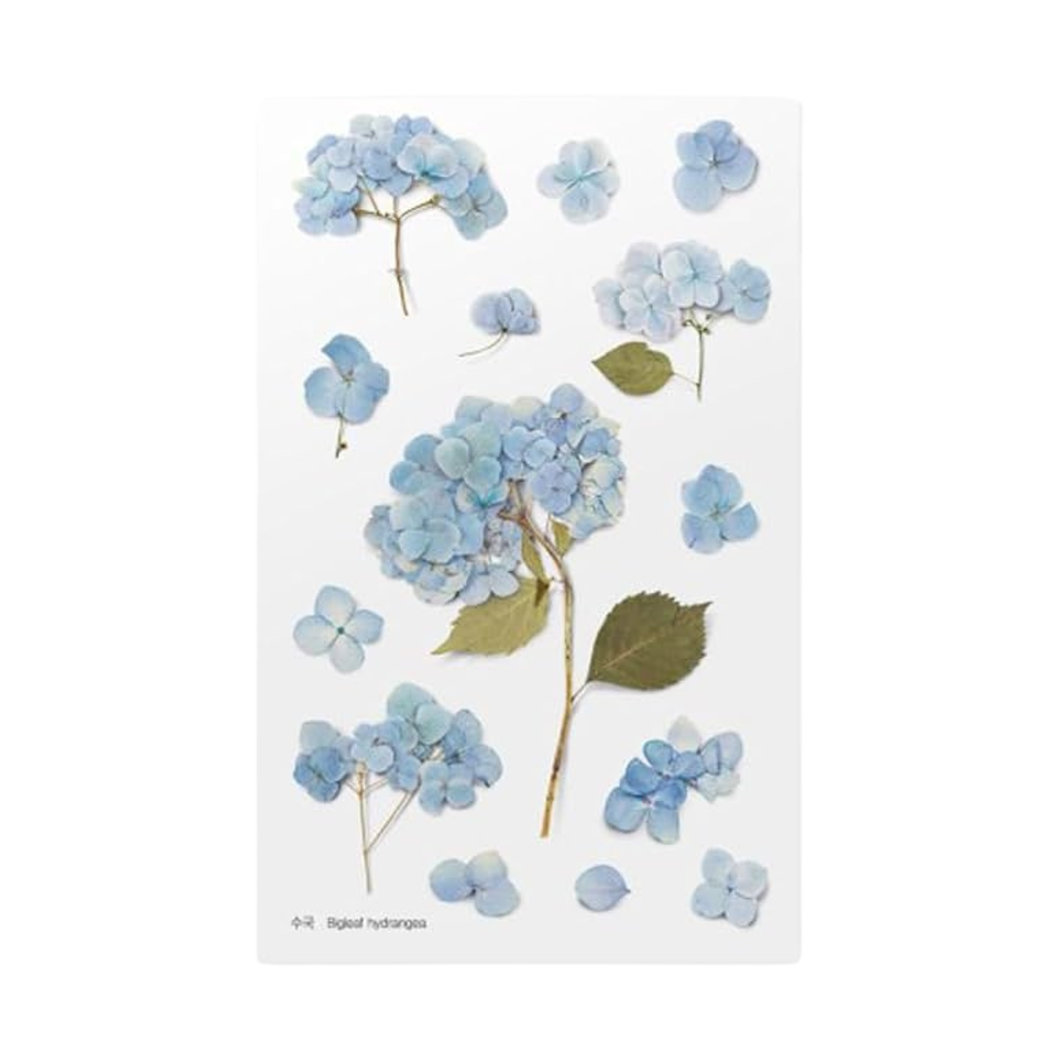 Sticker Sheet - World Craft Pressed Flowers - Bigleaf Hydrangea