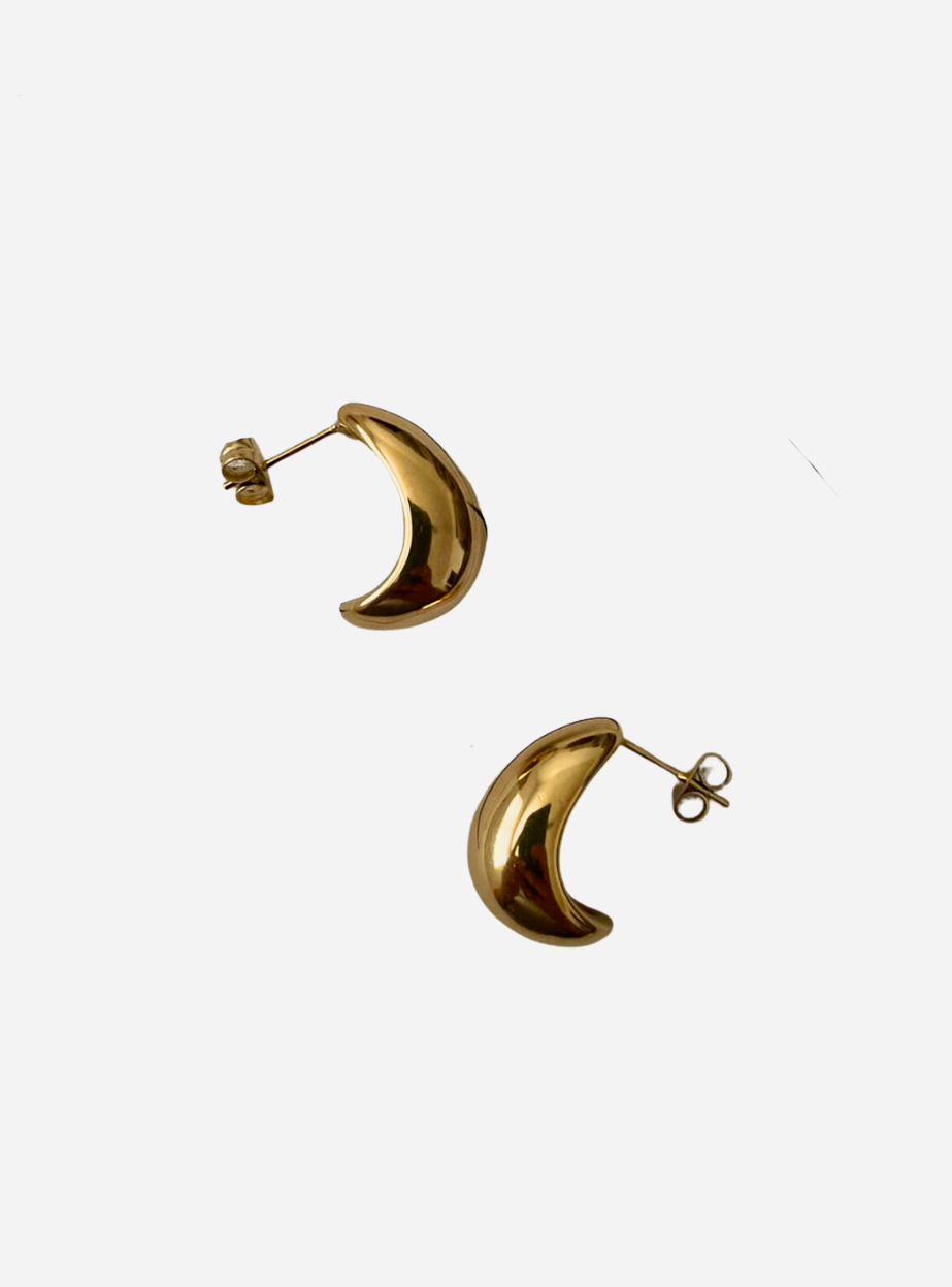 Anaya Earrings - Gold we
