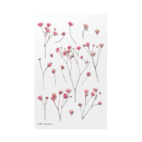 Sticker Sheet - World Craft Pressed Flowers - Gypsophila