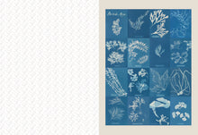 Collage Compendium: 2,000 Images to Cut Out & Collage