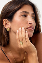 Oyster Earrings - Gold