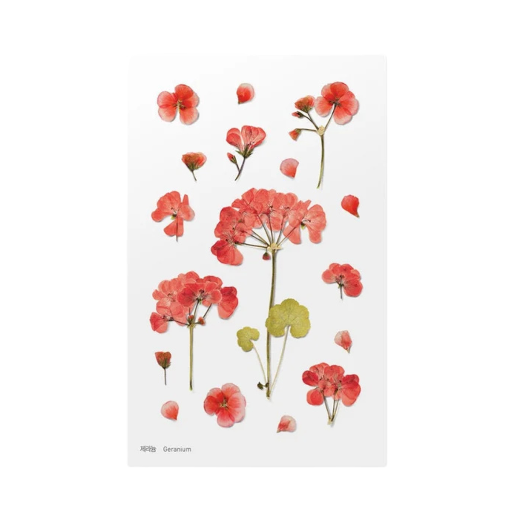 Sticker Sheet - World Craft Pressed Flowers - Geranium