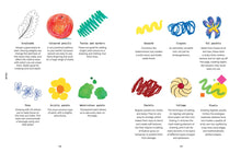 Still Life Drawing: A Creative Guide to Observing the World Around You