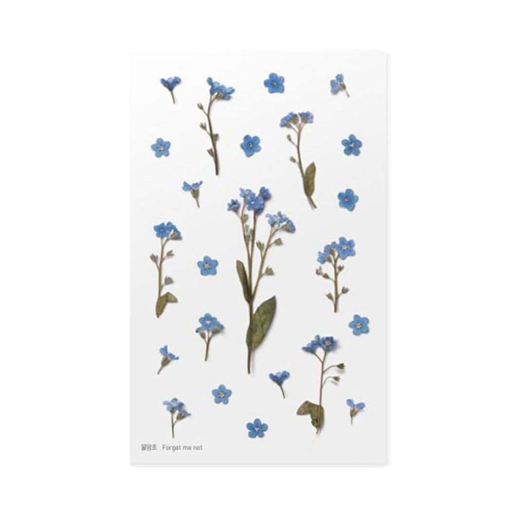 Sticker Sheet - World Craft Pressed Flowers - Forget Me Not