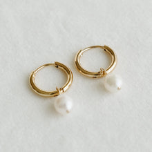 Eloise Pearl Hoops Earrings - Gold