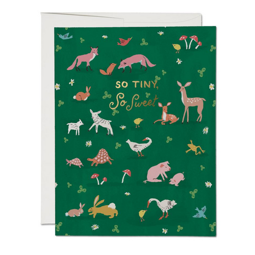 Tiny Animals Card