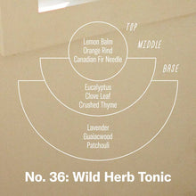 Wild Herb Tonic Incense - Pack of 15